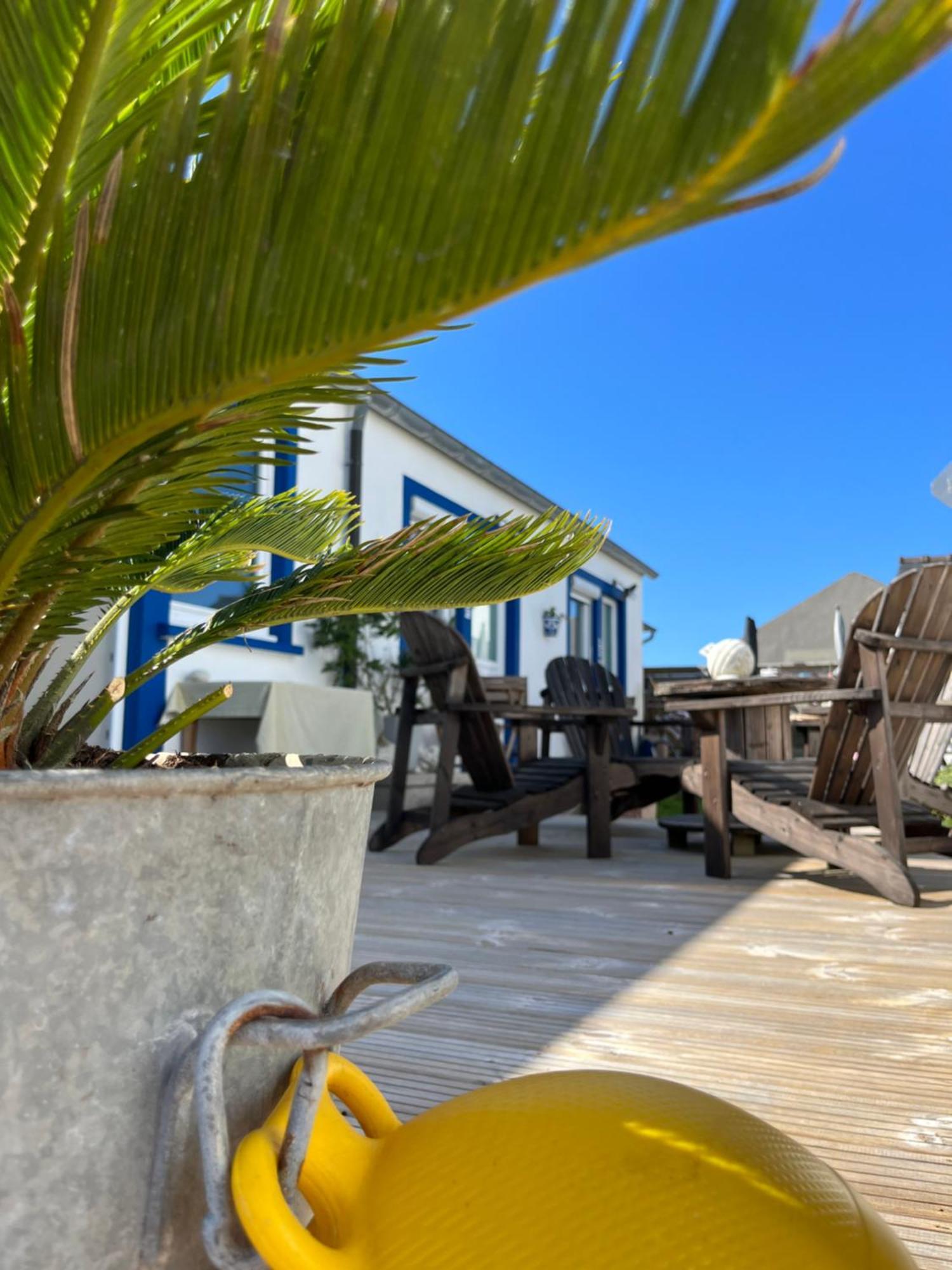 L'Atelier De Mezareun Bed & Breakfast Ushant Exterior photo