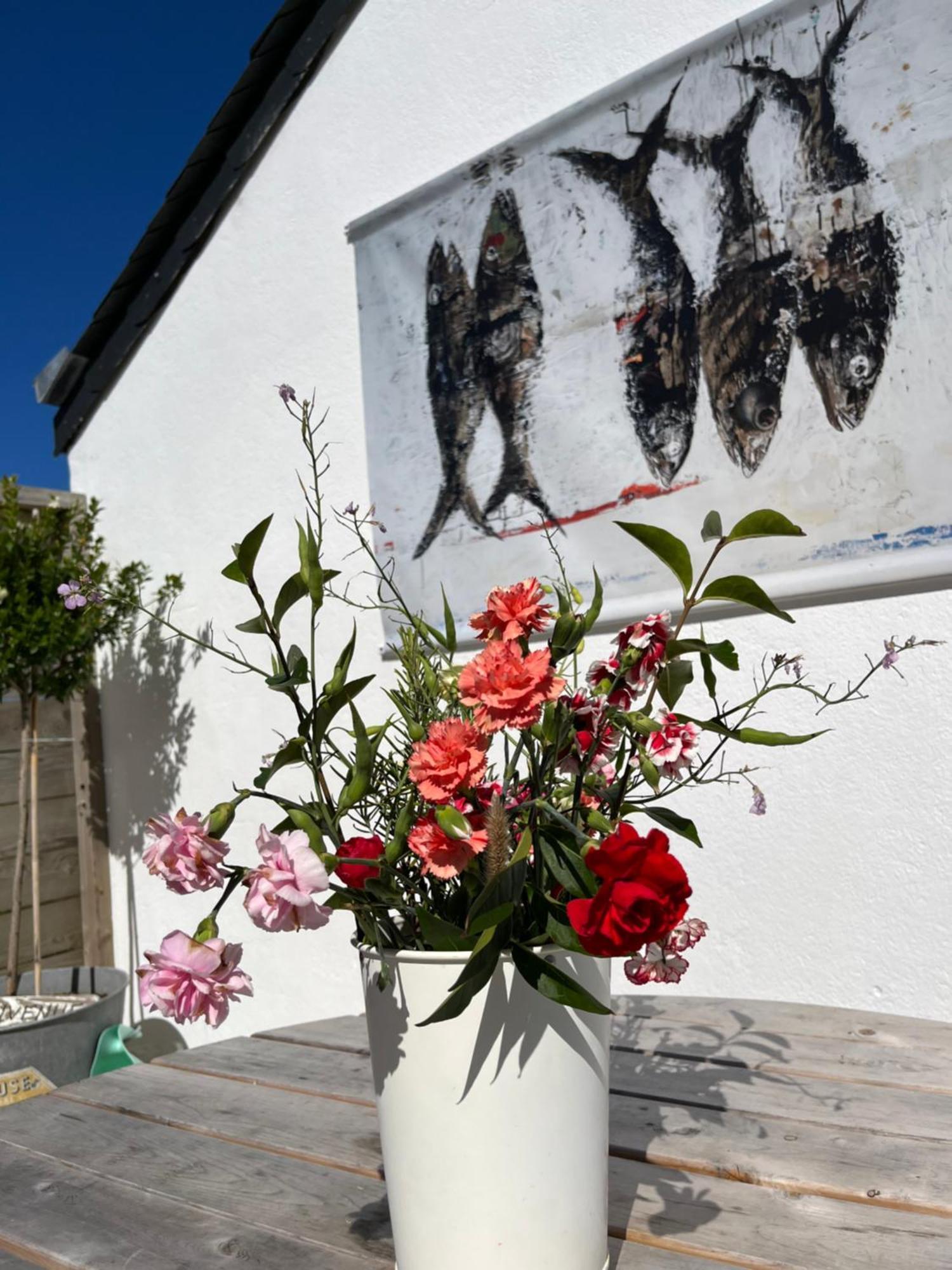 L'Atelier De Mezareun Bed & Breakfast Ushant Exterior photo